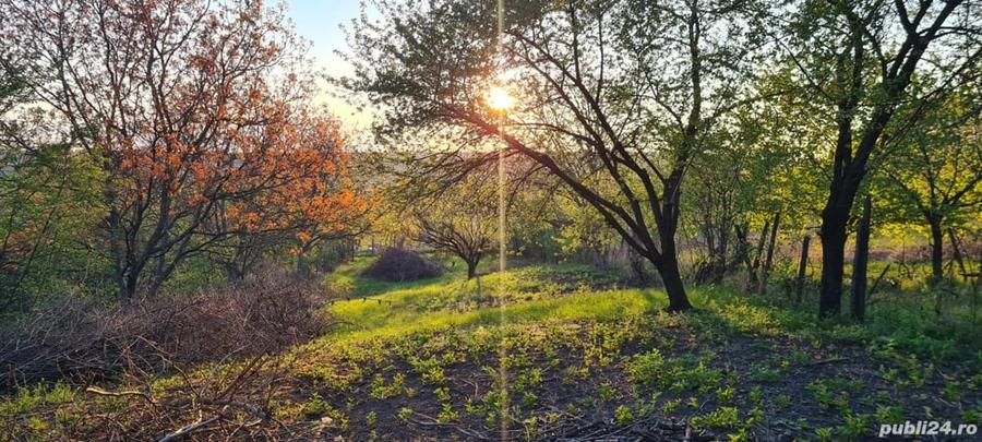 Teren de 1451 mp, în Copou