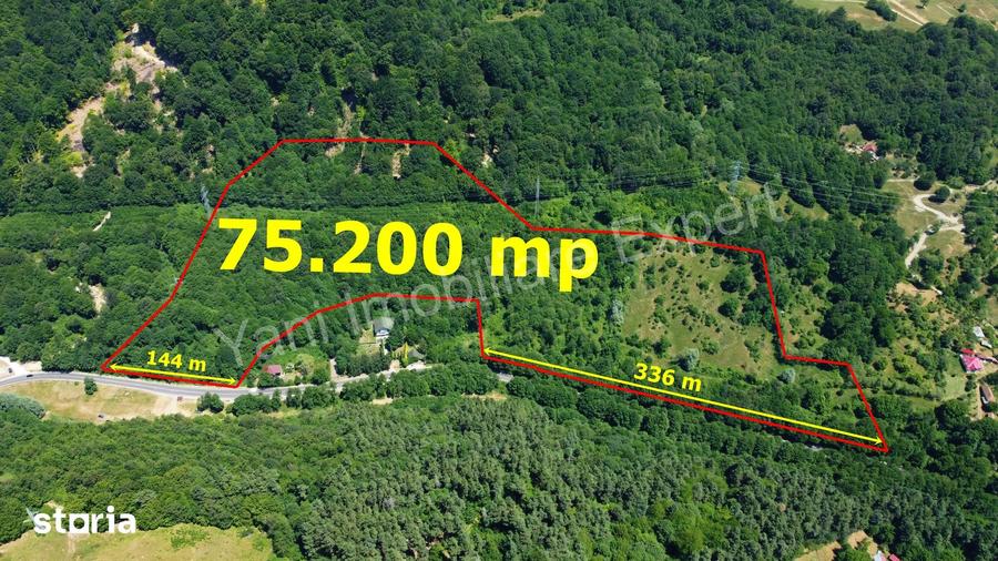 Teren de vanzare pe Transfagara?an ( 75.200 mp ) - 18