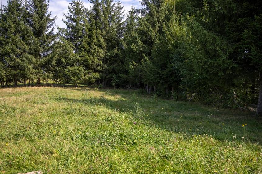 Teren Construcții extravilan de 10131 mp, în Bran