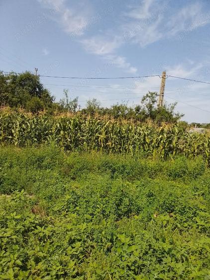 Casă cu 4 camere cu Teren 2000 Mp în Central