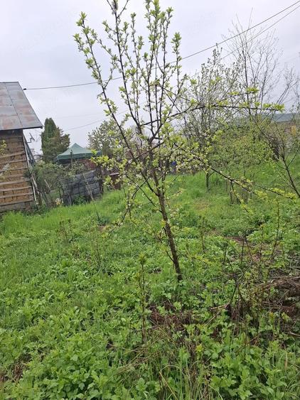 Teren de 3000 mp, în Predeal