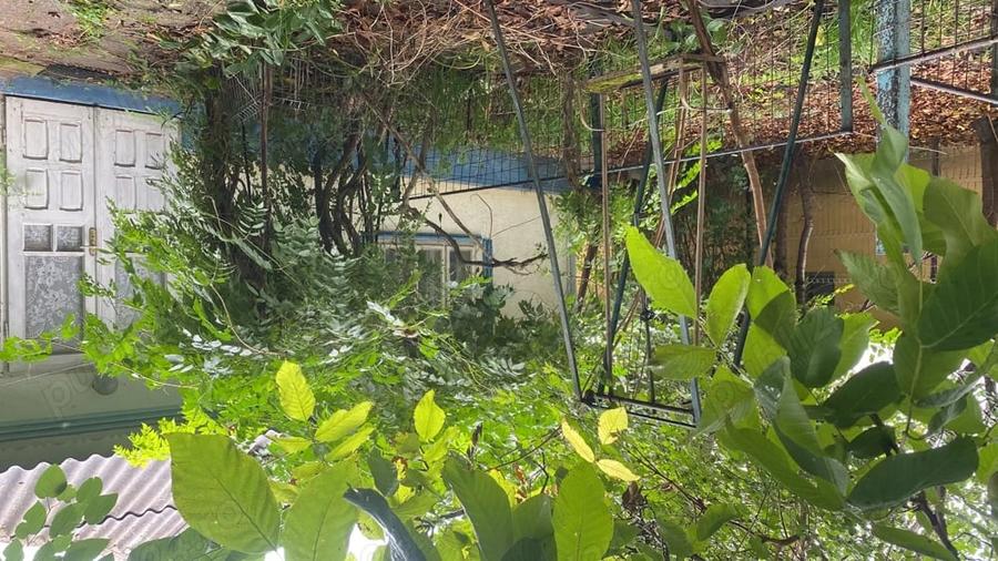 Casa de vanzare in Bivolari, jud. Ia?i 3 camere, teren 1168 mp - 9