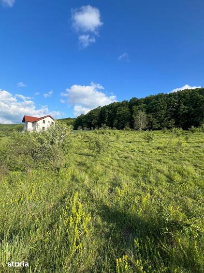 TEREN INTRAVILAN 2.000 MP ZONA VALEA CHIEJDULUI | POSIBILITATE PA - 1