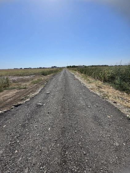 Teren de 439 mp, în Berceni
