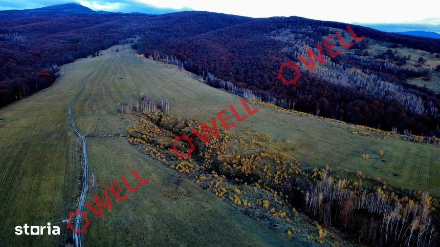 Teren de 126700 mp, în Bățani
