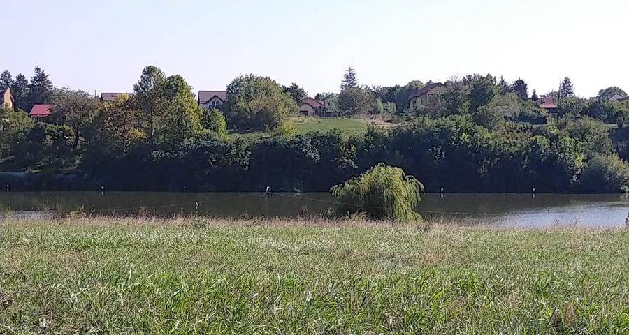 Teren Construcții intravilan de 1950 mp, în Moara Vlăsiei