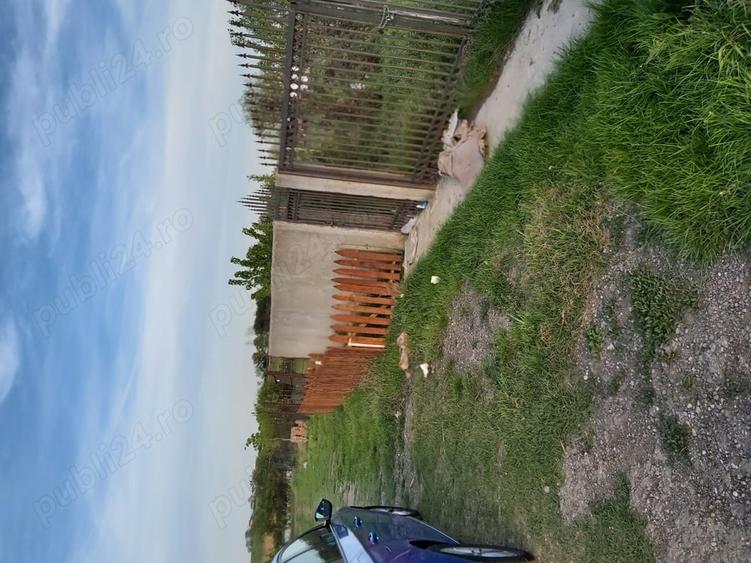 Vand 2loturi de 500m2 la ie?irea din Berceni langa lac - 4