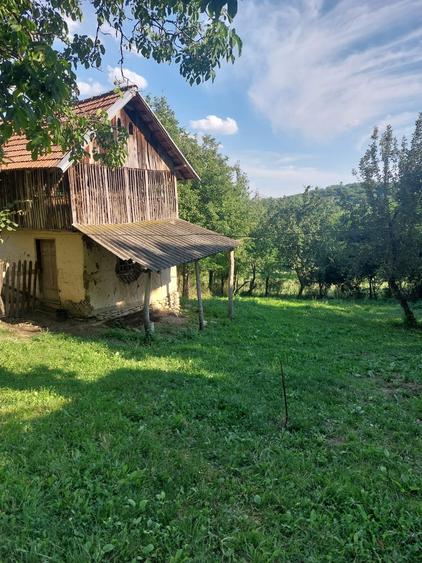 Teren Construcții intravilan de 5265 mp, în Teișani