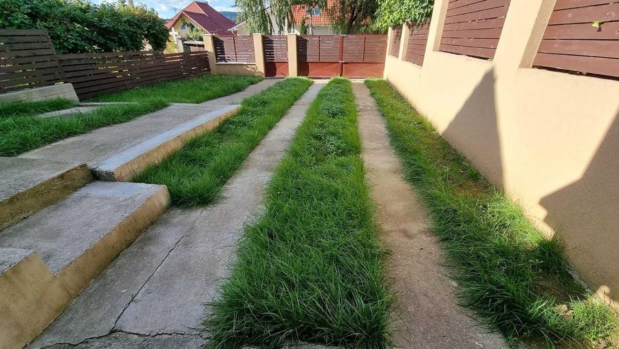 Casă cu 3 camere cu Teren 400 Mp în Gruia