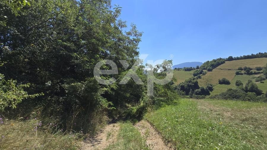 Teren agricol extravilan de 3757 mp, în Poiana Mărului