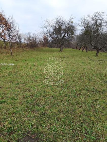 Teren agricol extravilan de 3966 mp, în Budacu de Sus