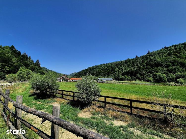Teren de 5700 mp, în Plaiul Foii