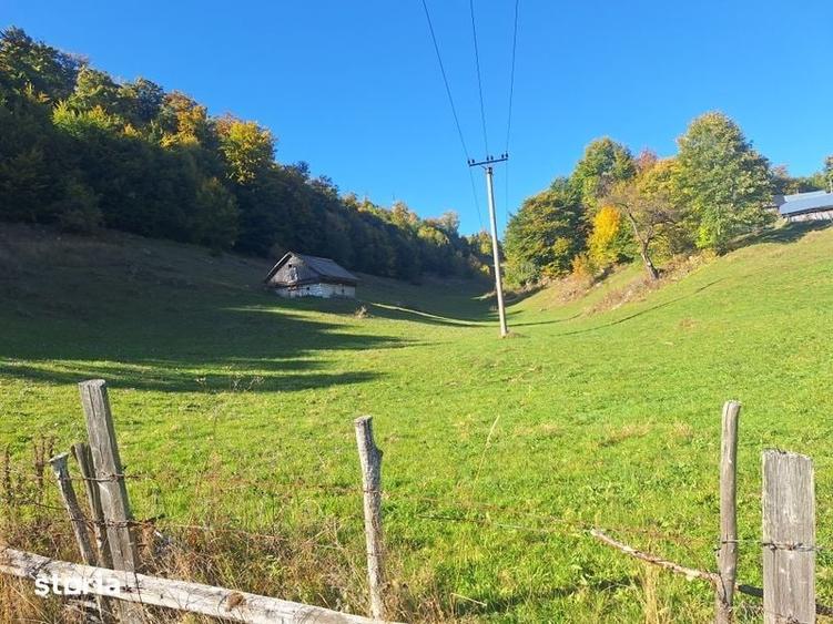 Teren de 16000 mp, în Dâmbovicioara