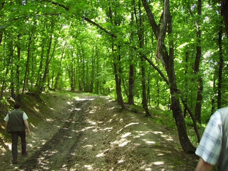 Teren de 90000 mp, în Central