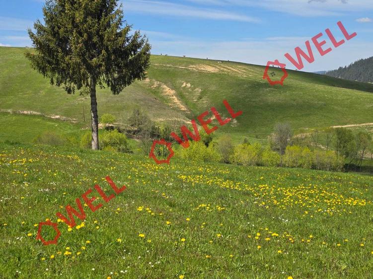 Teren extravilan de 8157 mp, în Sita Buzăului