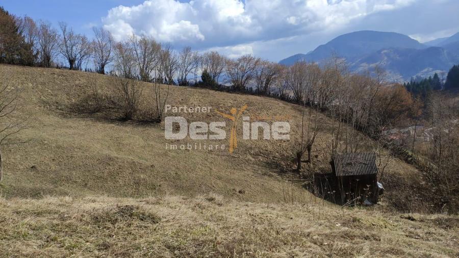 Teren agricol extravilan de 5000 mp, în Rucăr
