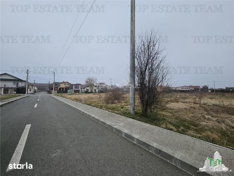 TEREN INTRAVILAN 1000 MP COSTINESTI