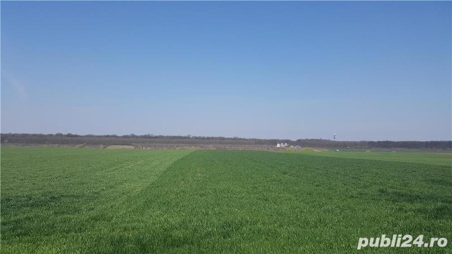 Teren de 16729 mp, în Balotești