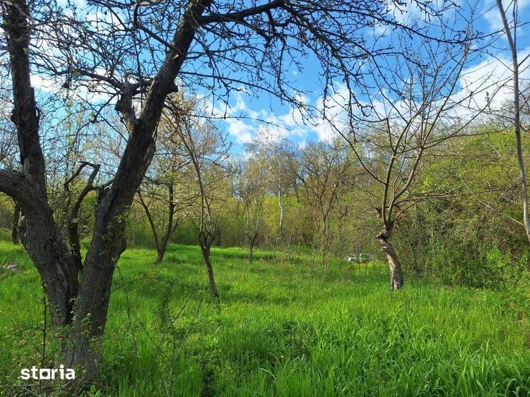 Casă cu 5 camere cu Teren 5950 Mp în Scorțeni