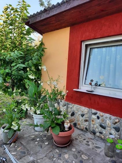 Casă individuală cu 3 camere cu Teren 10000 Mp în Dumitra