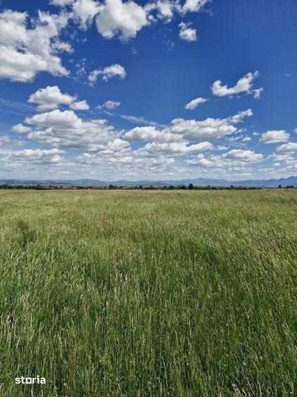 Teren de 14900 mp, în Crizbav