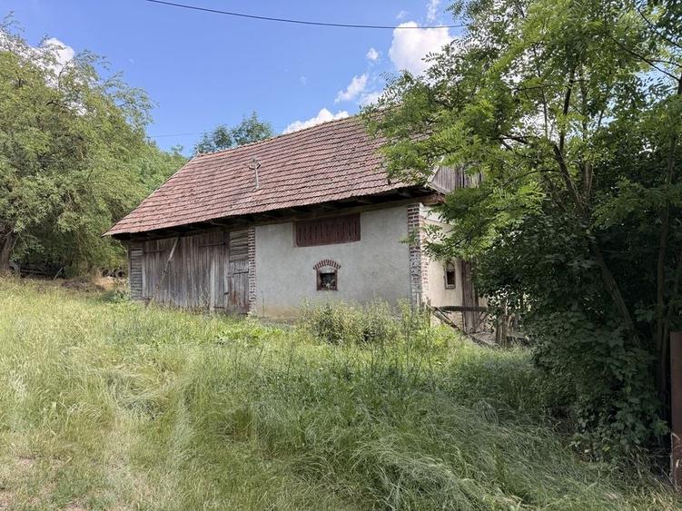 Casă cu 2 camere în Căianu Mare