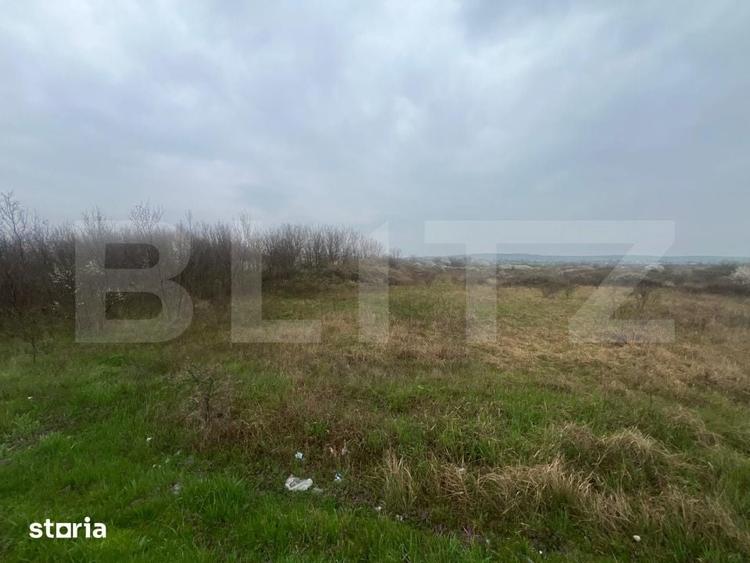 Teren de 4650 mp, în Almăj