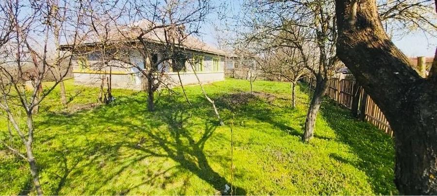 Teren de 7700 mp, în Letca Veche