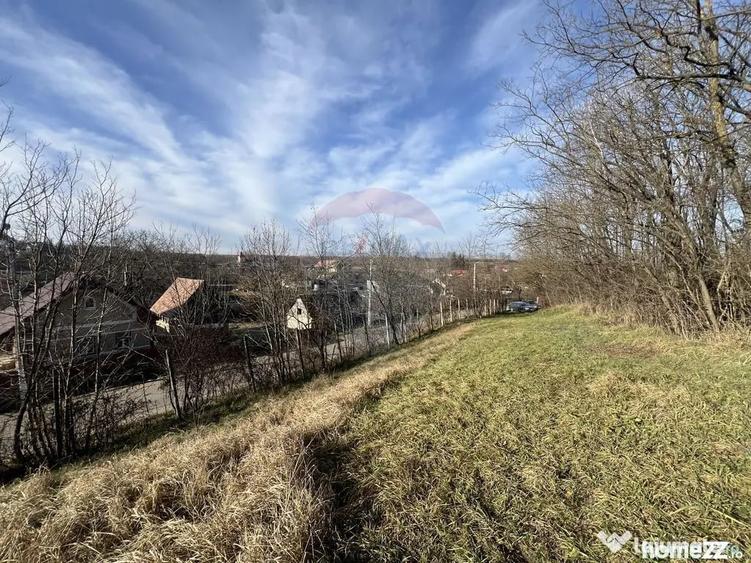 Teren de 34425 mp, în Bădeni