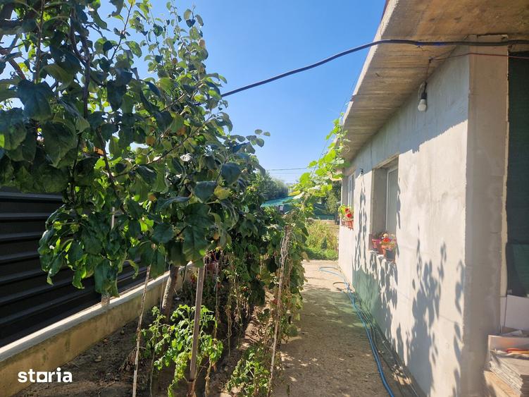 Casă cu 3 camere cu Teren 495 Mp în Puchenii Mari