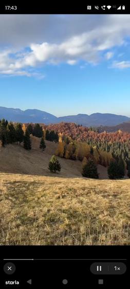 Teren de 3620 mp, în Vișinești