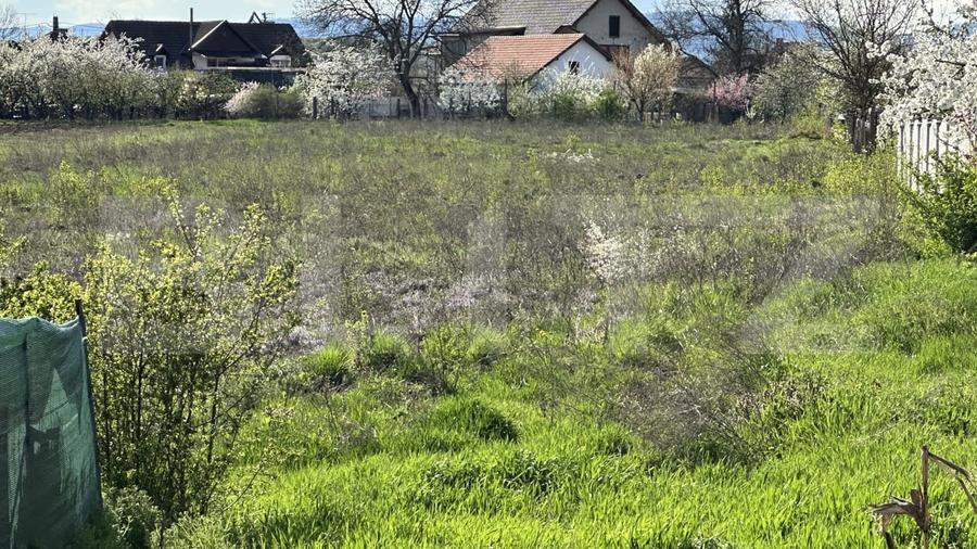 Teren Construcții intravilan de 6109 mp, în Simeria