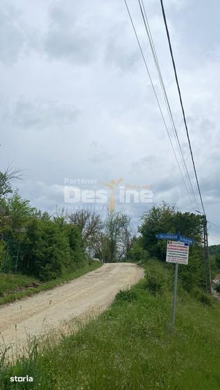 PADURE DE VANZARE 17 HA VALEA MARE, COMUNA BALILE?TI, JUDE - 1