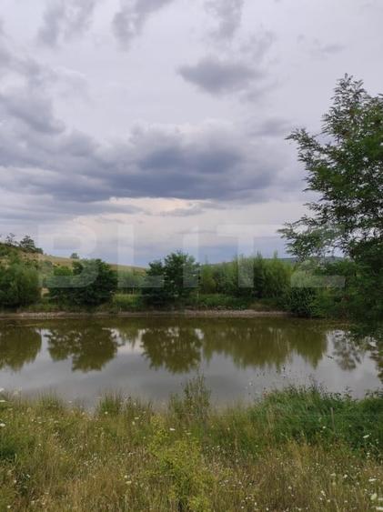 Spațiu industrial, de 3,000 mp, în Vest