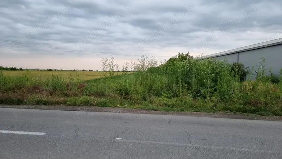 Teren de 4575 mp, în Filipeștii de Târg