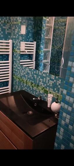 Apartament cu 2 camere decomandat în Dosu Bricii