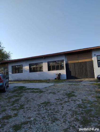 Teren de 3600 mp, în Morilor