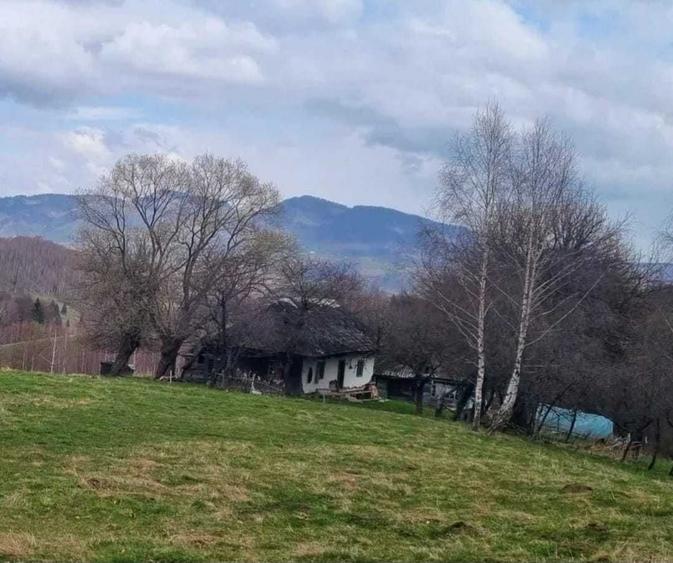Teren de 1000 mp, în Drumul Carului