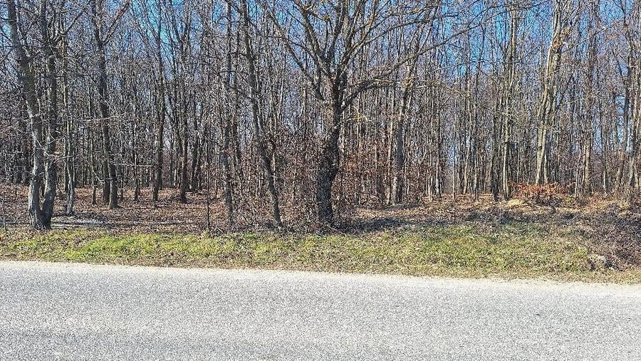 Teren de 5500 mp, în Poiana Tășad