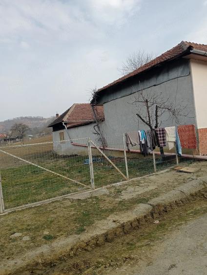 Casă cu Teren 2500 Mp în Globu Craiovei