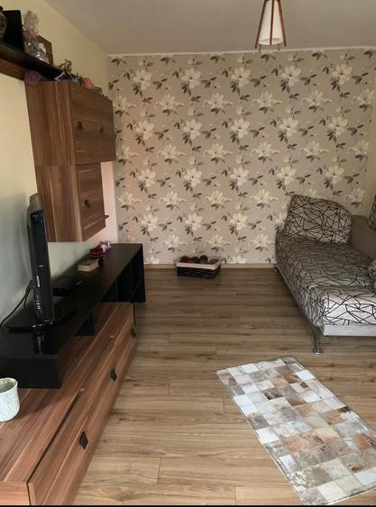 Apartament cu 2 camere, mobilat în Dacia