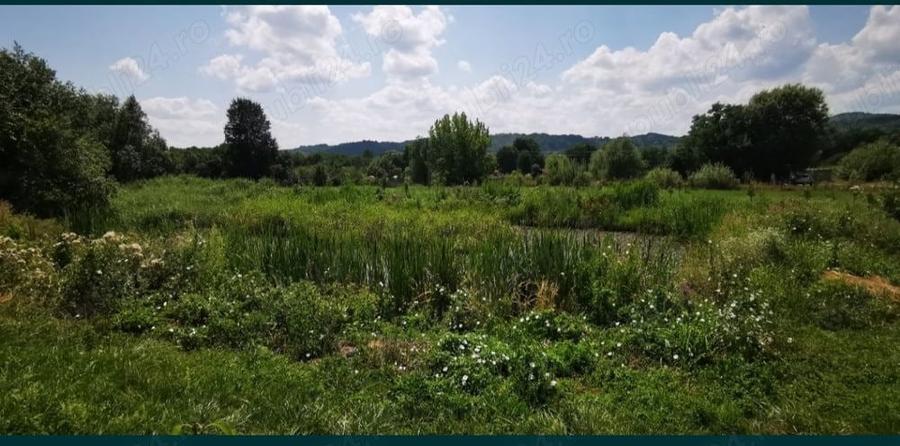 Teren de 18100 mp, în Domnești