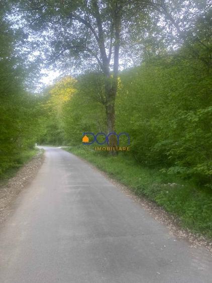 Teren Construcții intravilan de 4235 mp, în Poiana Mărului