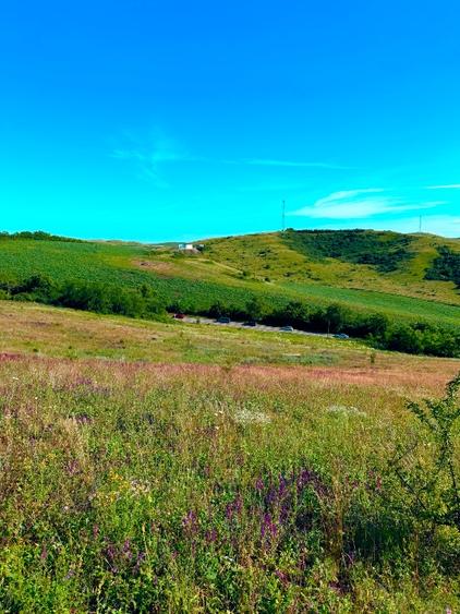 Teren agricol extravilan de 2900 mp, în Jucu