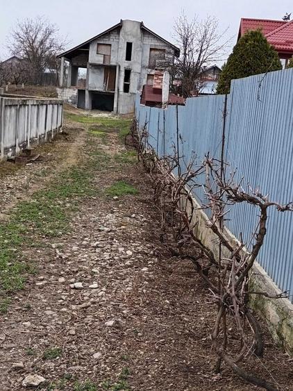 Vils la gri in Buftea, Strada Indepententei,NR 8 ,Calul Balan - 3