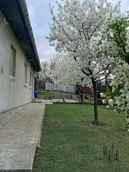 Casă cu 2 camere cu Teren 910 Mp în Central
