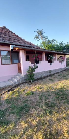 casa Visinelu Mures - 5