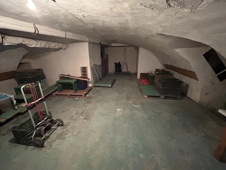 Spațiu comercial, de 240 mp, în Aradul Nou