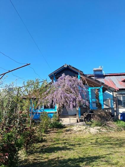 Casa de vanzare zona Negrasi jud Arges - 2
