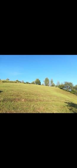 Spațiu comercial, în Hangu
